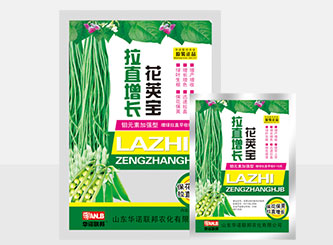 拉直增長(zhǎng)花莢寶